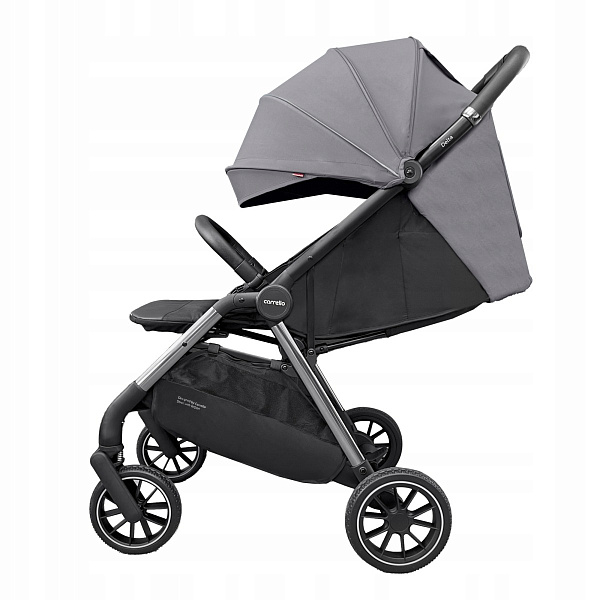 Детская прогулочная коляска Carrello Delta CRL-5517 фото 1