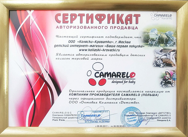 Детская коляска Camarelo Sirion Ecco 3 в 1, эко-кожа фото 9